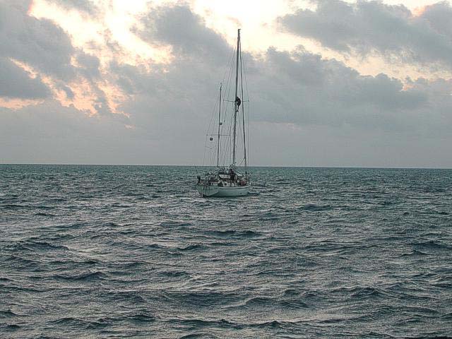 2004.02.24web