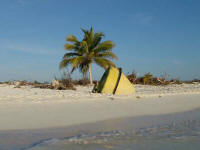 Playa Sirena, Cayo Largo