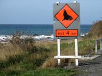 Seals warning