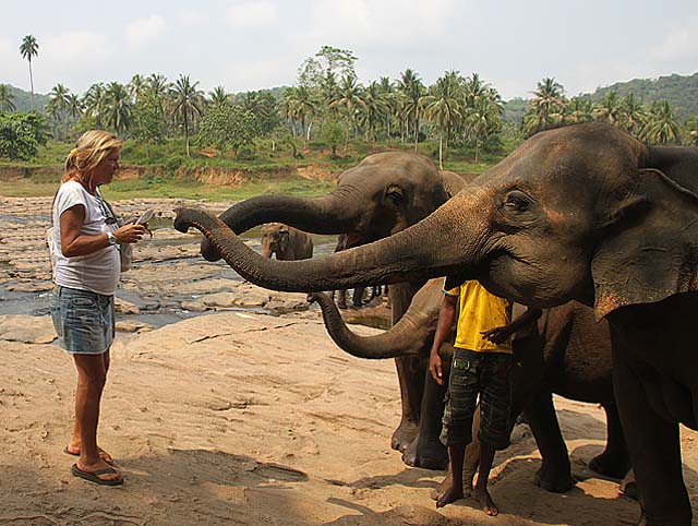 lanka_tour018