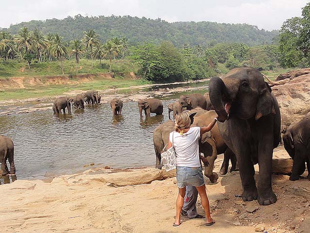 lanka_tour019