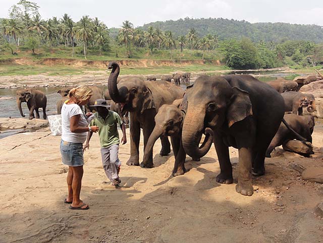 lanka_tour020