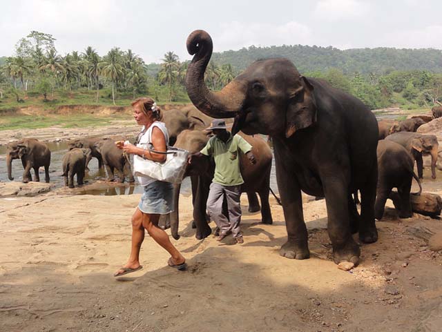 lanka_tour021