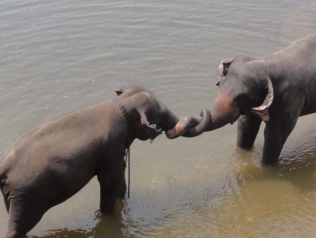 lanka_tour022