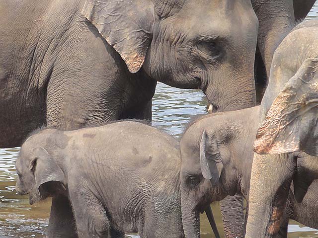 lanka_tour024