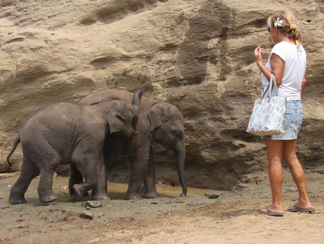 lanka_tour026