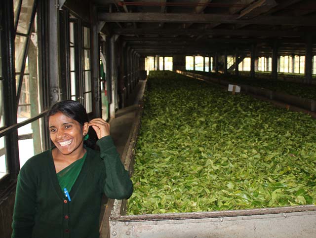 lanka_tour034