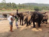 lanka_tour020
