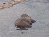 lanka_tour023
