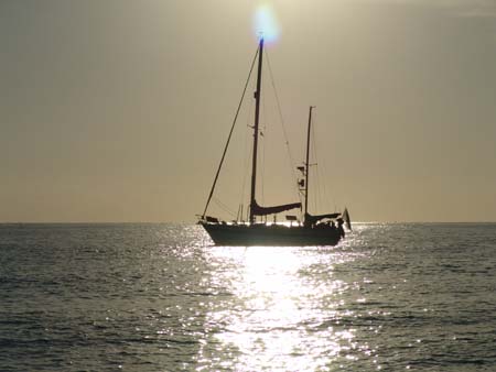 DSC03565